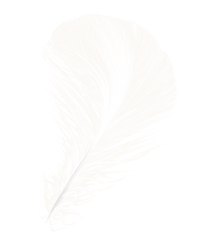 plume-2.png