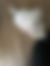 sahiplendirme için kedi ilanlari gösteren ikinci küçük fotoğraf
