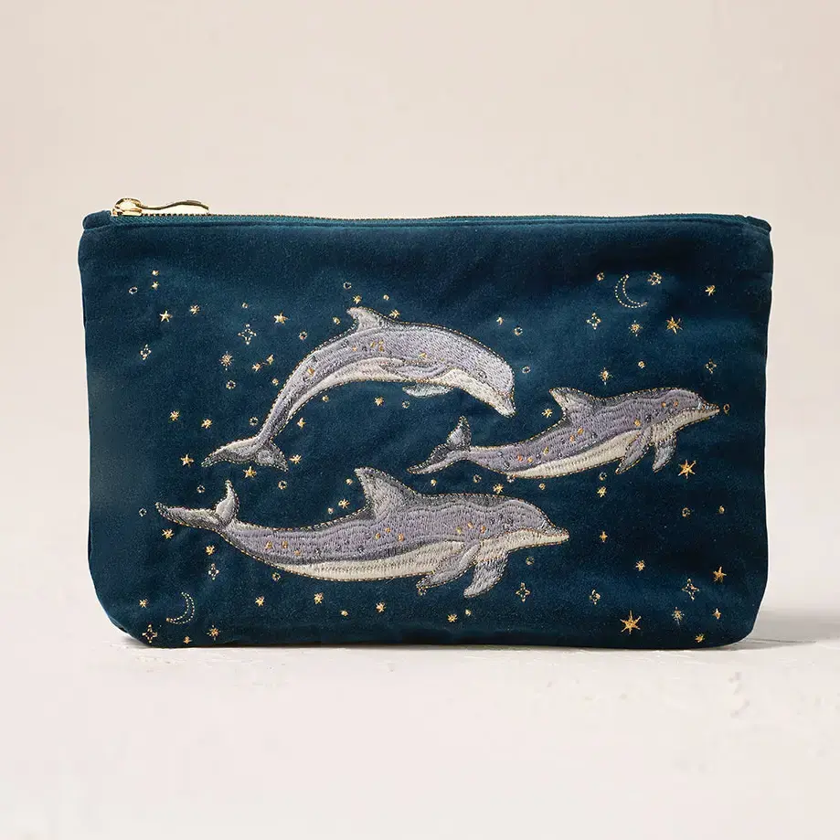 CELESTIAL DOLPHIN EVERYDAY POUCH
