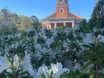 Reflections from Creation