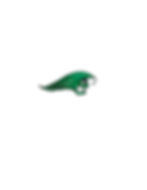 ‎Greenville Green Wave Logo.‎1.jpeg
