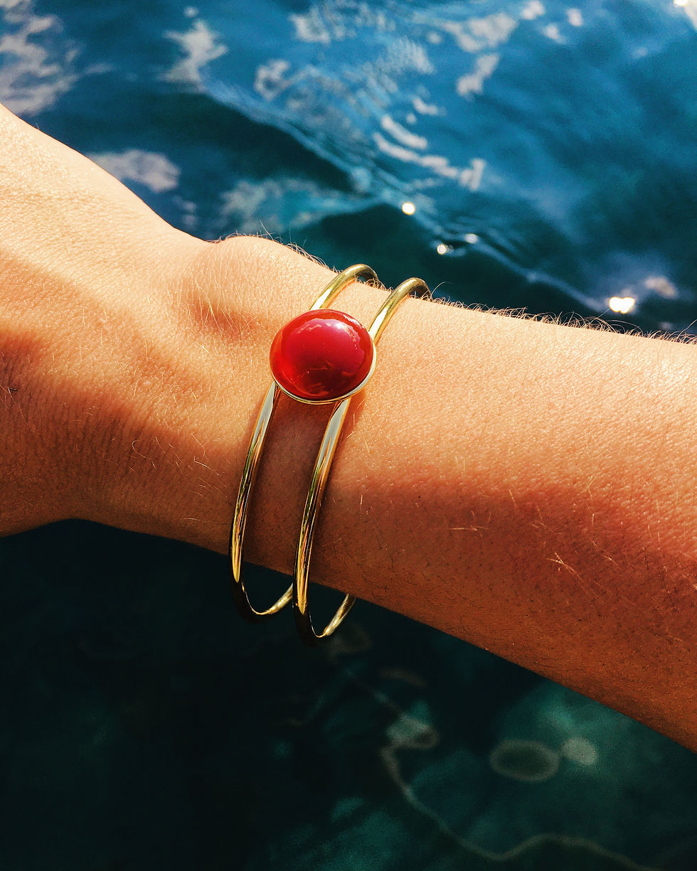 CC4831E9-487D-475D-BFD3-0D60B63E5F9F