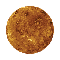VENUS.png
