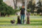 PotreroDogs-1.jpg