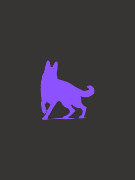 LAP DOG MGMT.PNG