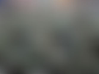 En Contravía: Seguimientos ilegales del Ejército y diálogos con el ELN