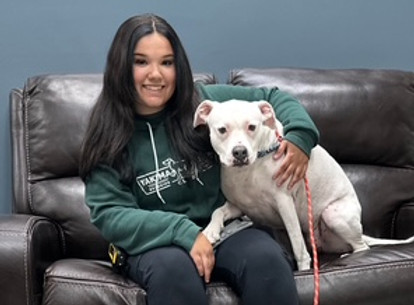 View recent photos.jpeg