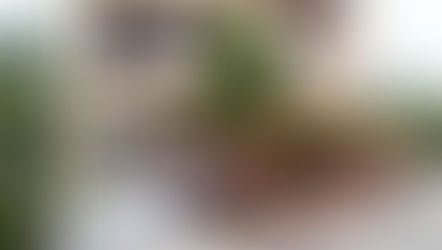 沒有照顧SOP的なごみの家 在社區伴長輩終老