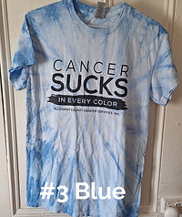 #3 Blue_edited.jpg