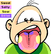flavors1_orig.gif