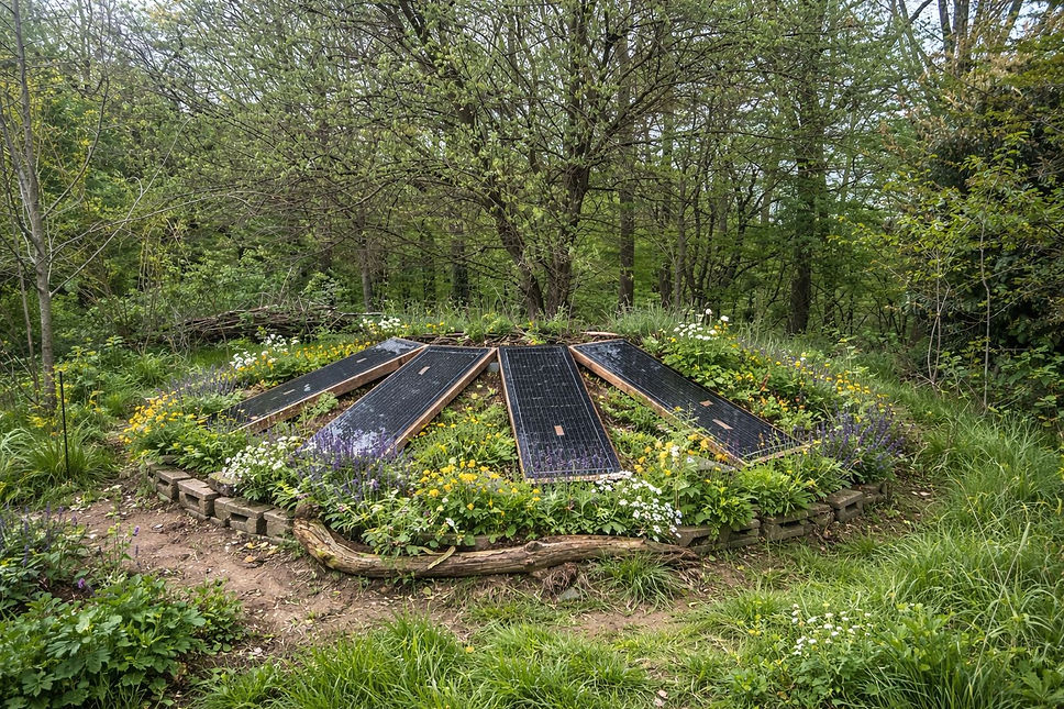 WhatsApp Image 2026-04-09 at 17.55.24.jpeg