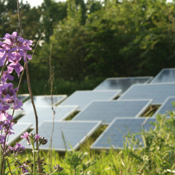 NL-Solarpark-e1550174855571.jpg