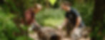 banner-web-tndt.jpg