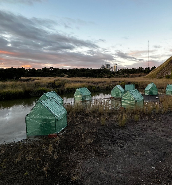 frog apartments_edited.jpg