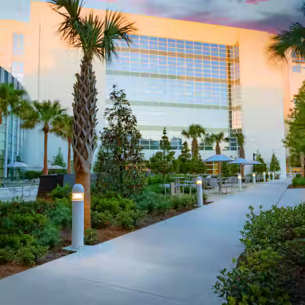 Mayo Clinic Florida Visiting Medical Student Elective