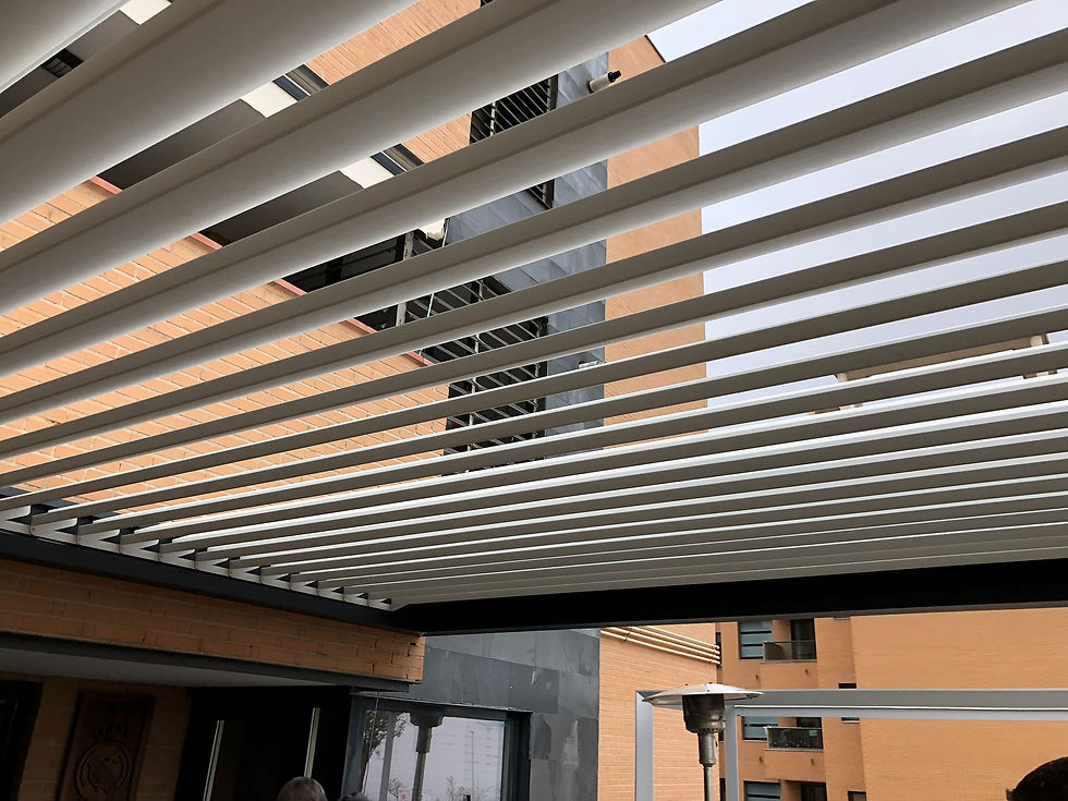 PERGOLAS BIOCLIMATICAS EN MADRIS,SAXUN MADRID,PROYECTOS ,INSTALACIONES PERGOLA SAXUN MADRI