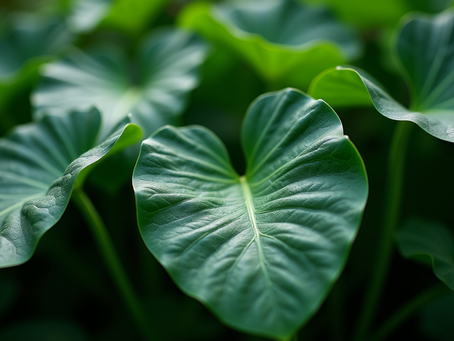 Alocasia Care: A Comprehensive Guide for Indoor Gardeners