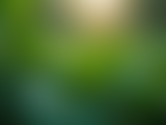 What Your Plant Leaves Are Trying to Tell You