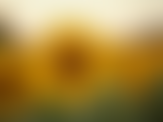 Summer Plants: Your Guide to Thriving in Warm Weather