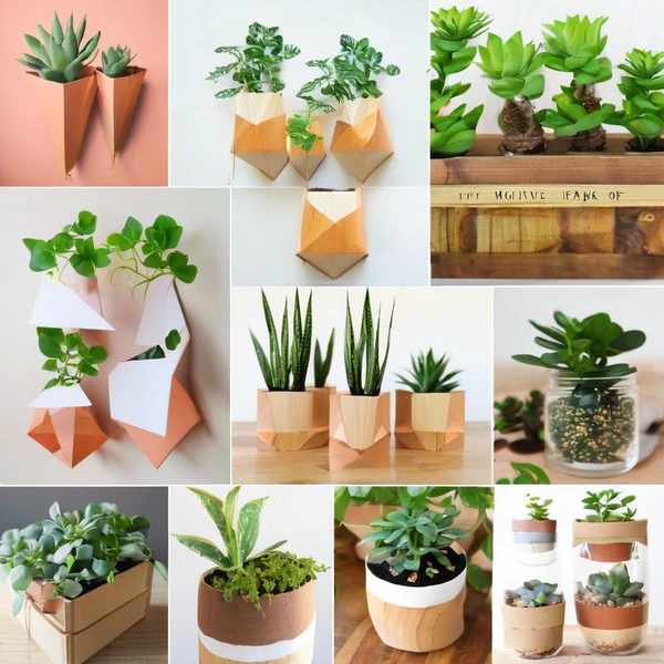 DIY plant project