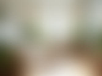 5 Things I Think All New Plant Parents Should Know