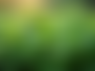 Quick Tips & Tricks for Growing Kitchen Herbs