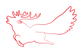 1.C.JELEN_obraz_logo_primarni.png