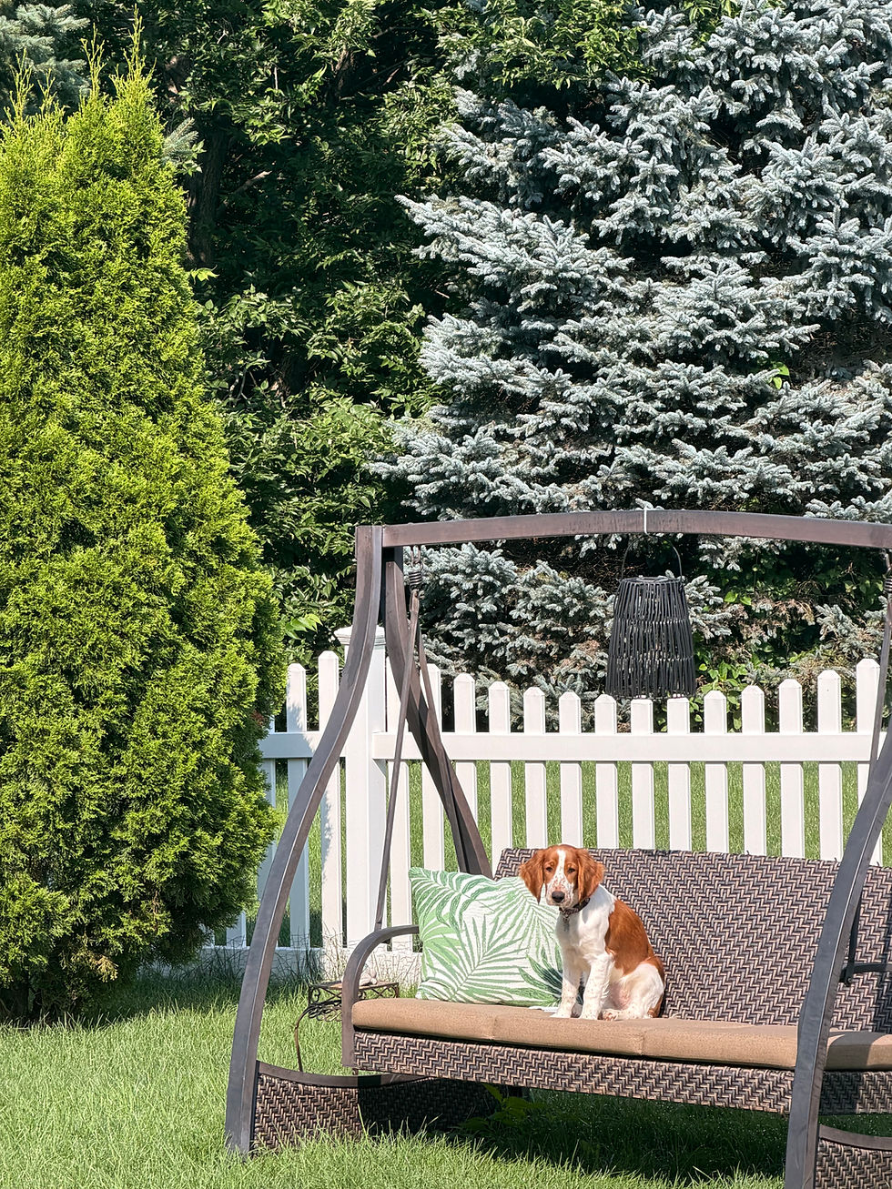 GIGI LOVES HER SWING!