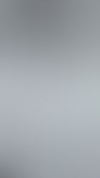 VIDEO: STATESMAN DOGS IN SNOW