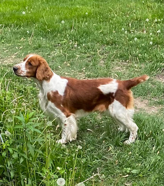 6.10.22 Feren Sniffing nest.jpg