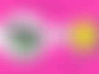 🎁【2月は特別企画スタート‼️】🎁