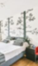 Alderson Wallcovering Custom Installation Michigan.png