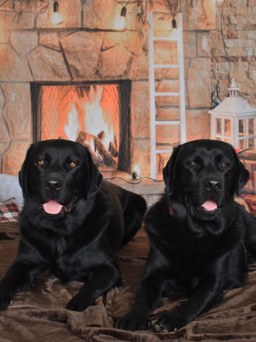 2021 Morgan Dalton.jpg