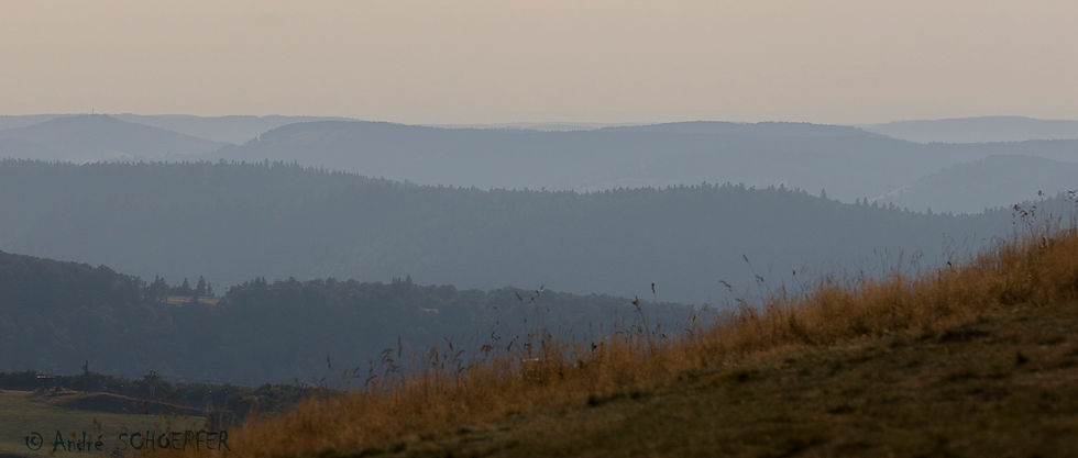 Les Vosges et ses ballons