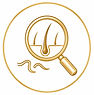 Pictogramme évaluation d'un traitement