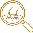 MAURICE 65.webp