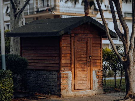 What Is a Shed Roof? Advantages and Disadvantages Explained