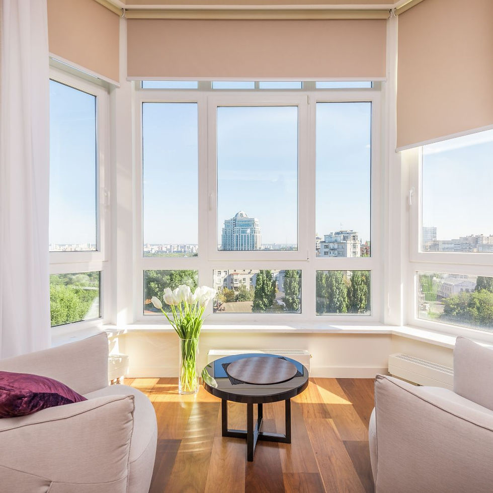 types of house windows