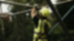 Lynn and sons scaffolding access (12).jpg