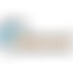 Akamai Technologies Live