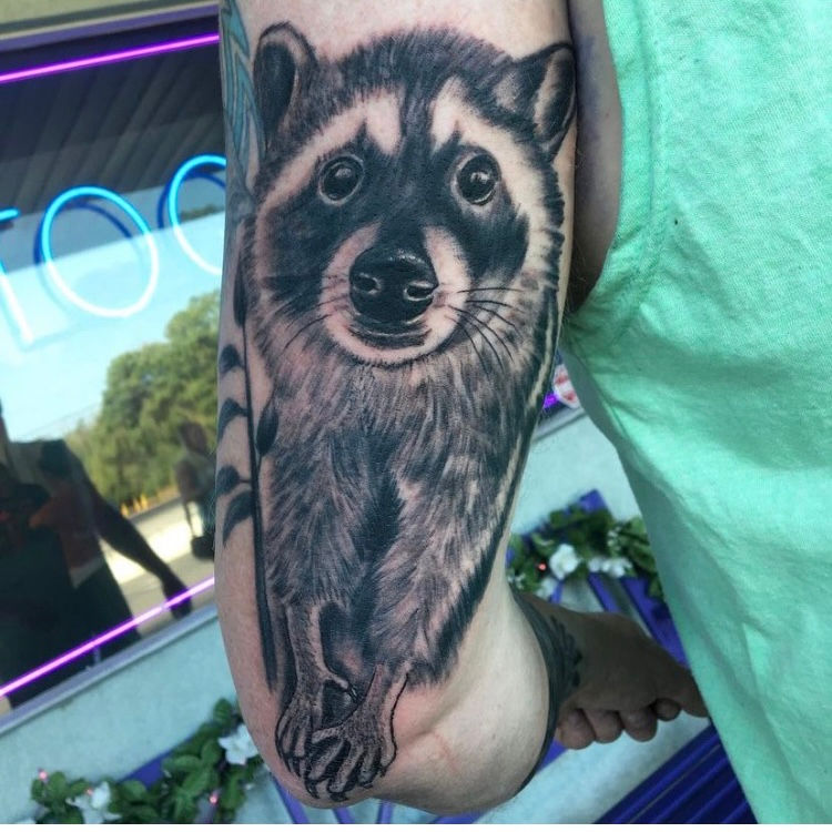 Raccoon