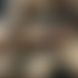 La Guía Definitiva para Cuidar la Piel de Oveja: Mantenimiento y Limpieza