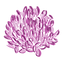 Logo Blume.png