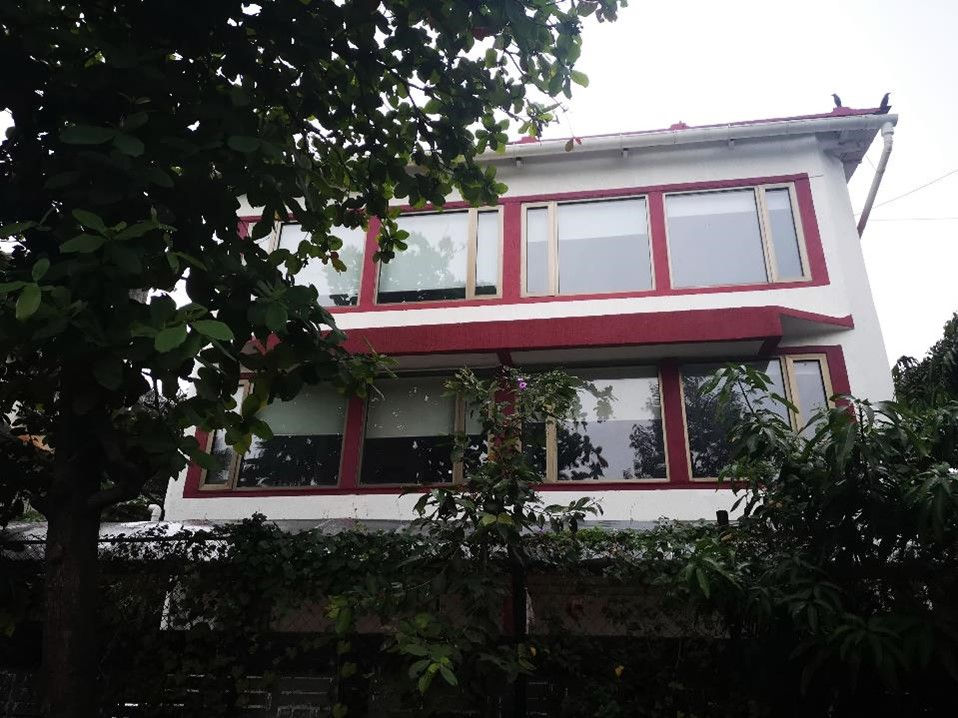 View from the Back