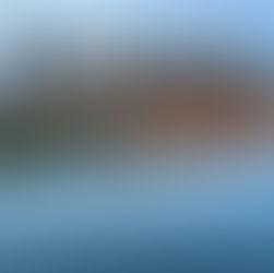 Can’t Visit Our Twin Cities Computer Repair Shop? Try Our On-Site/Remote Services!