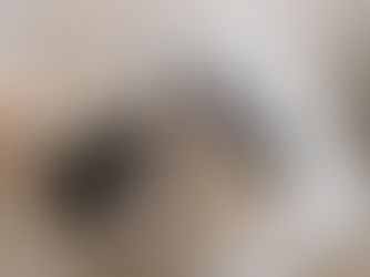 Tired Of The Microsoft Office Subscription? Try These Free MS Office Alternatives.