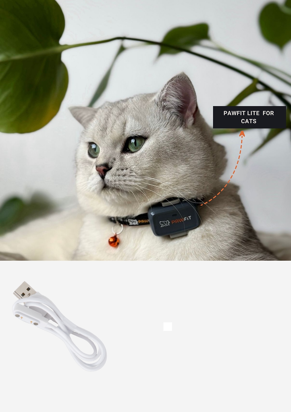 12.png