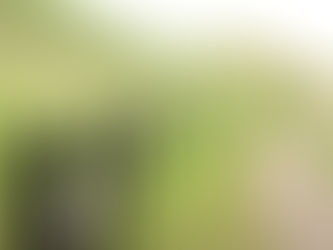E ai, qual a função do profissional de RH?