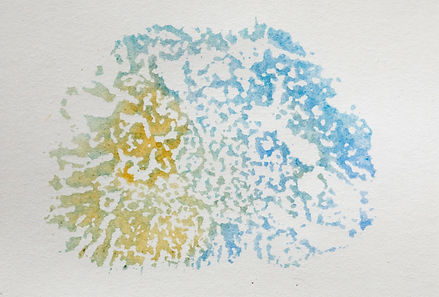 sponge stamp_by regina huegli 2.jpg