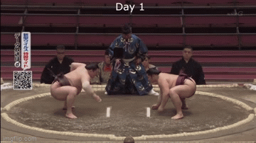 4zv3v8.gif